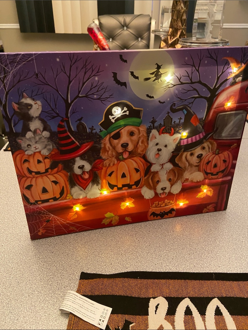 Halloween Pets Decorative Light-Up Canvas - Orange